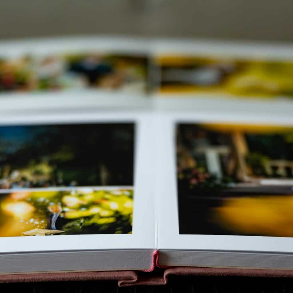 Jiggy Albums Fire Art Albums 002